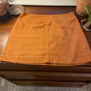 Vintage Express Mini Skirt